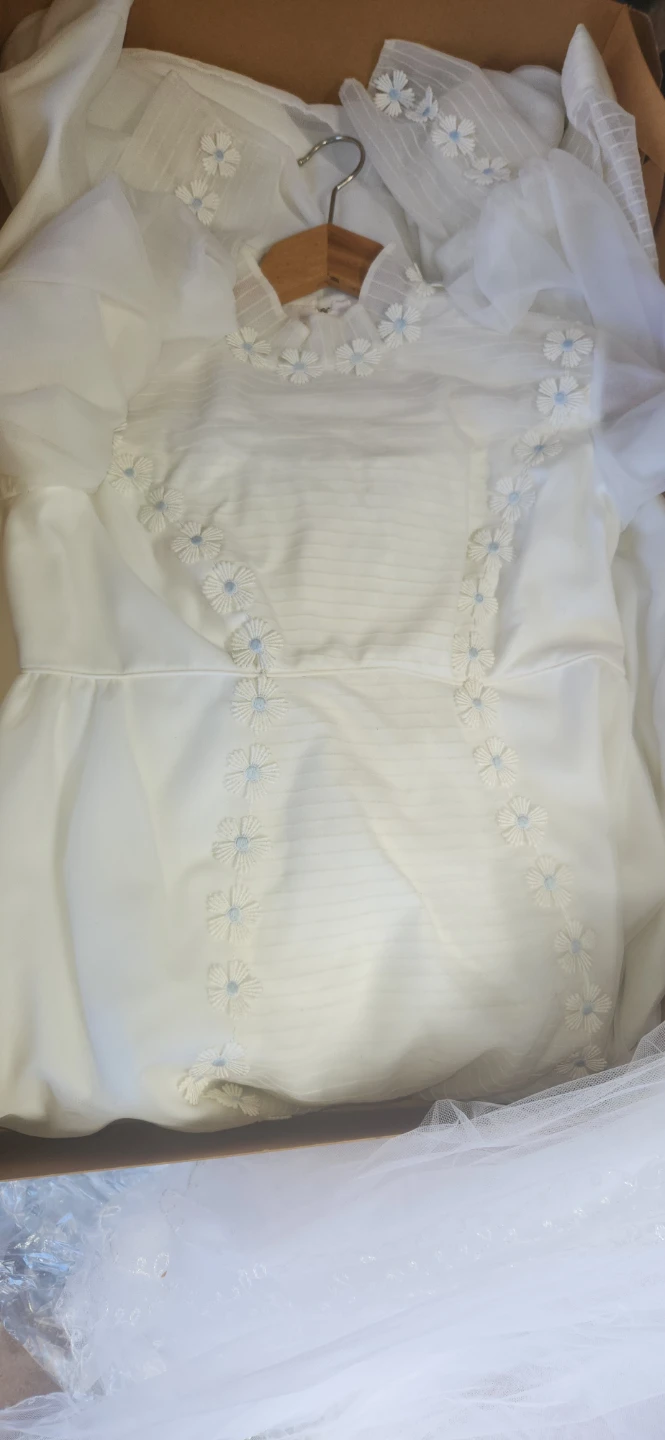 Syd. Silver Wedding Dress Size 10 - photo 2