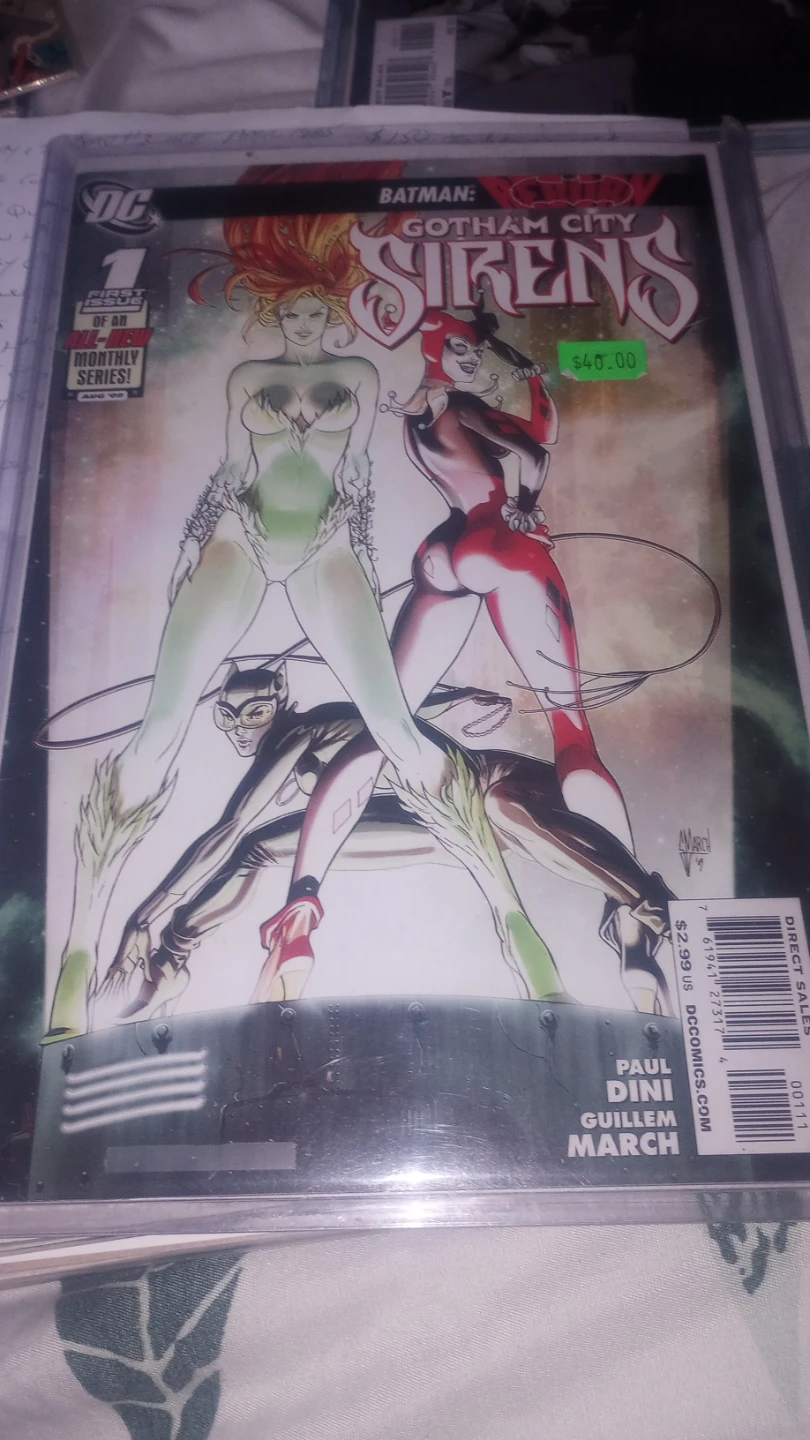 Batman Gotham City Sirens #1 Comic Book