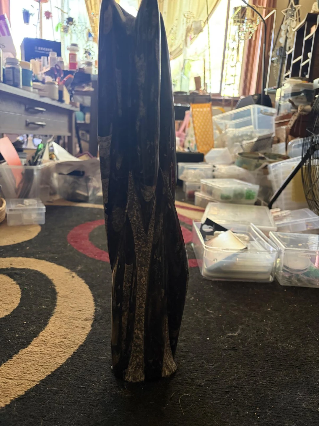 Twisted Ammonite Fossil Sculpture - photo 5