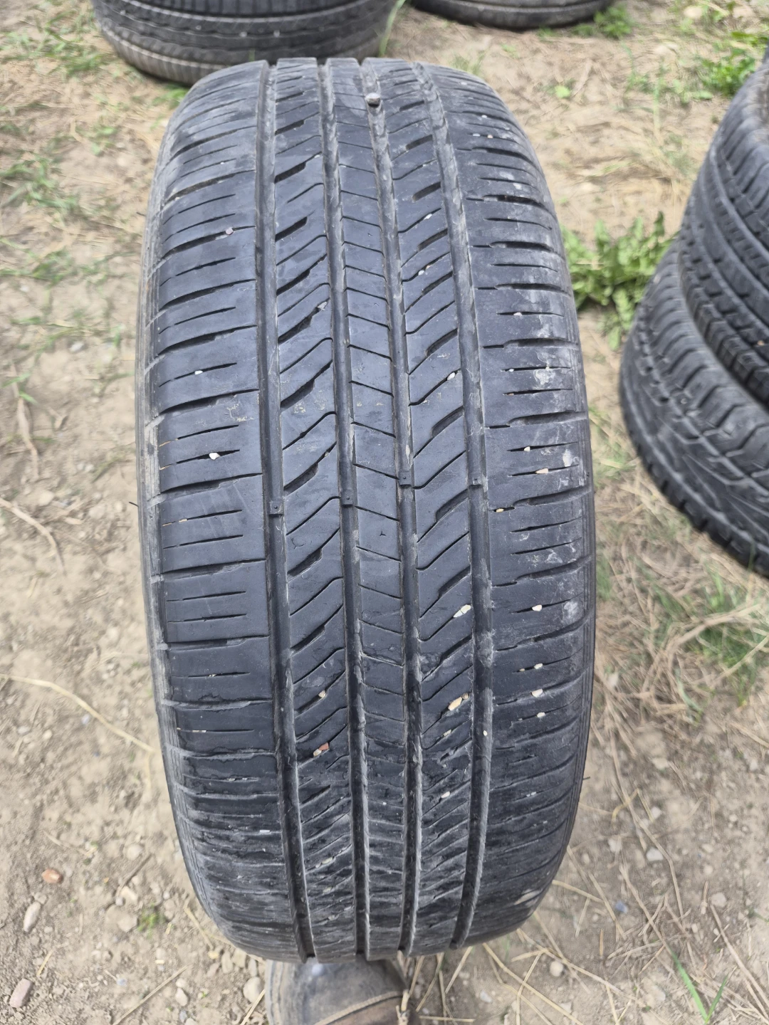 1 summer tire 205 60 16