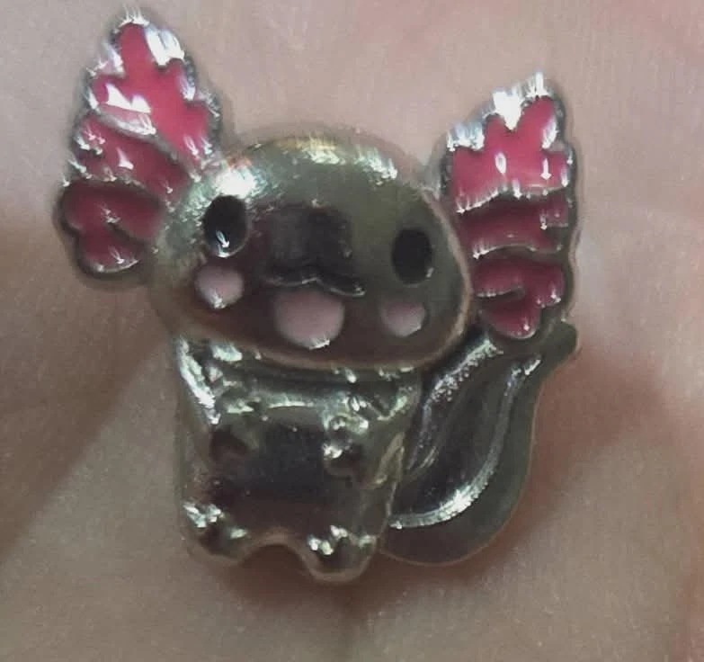 Charms  $2 each