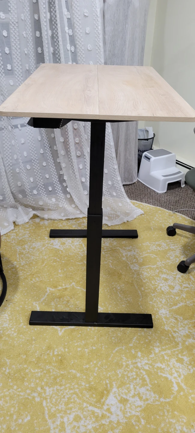 Adjustable Standing Desk - photo 2