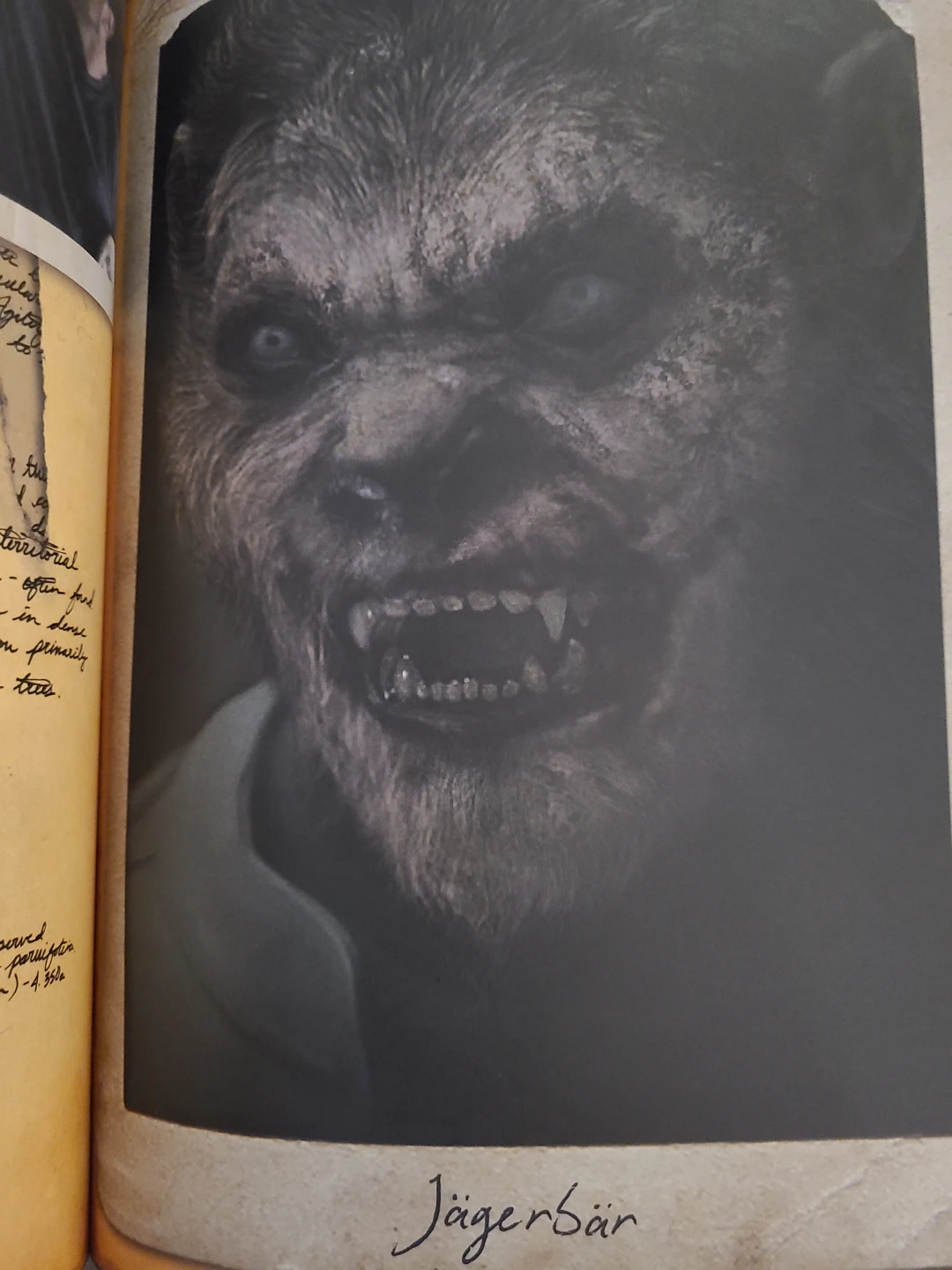Aunt Marie's Book of Lore - photo 3