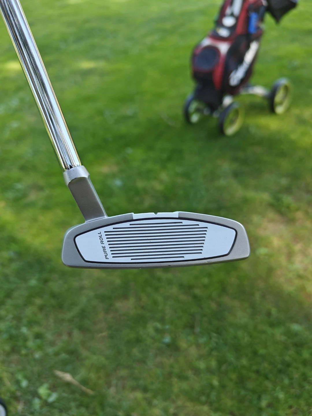 TaylorMade Spider X Putter - photo 2