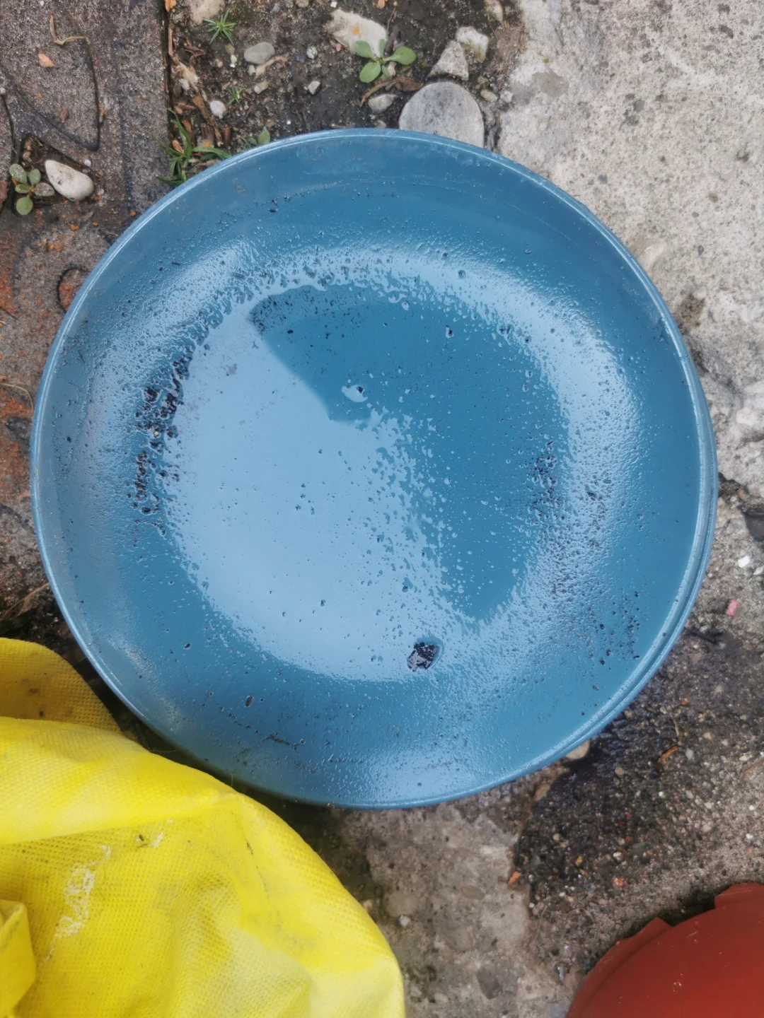 Dishes - photo 5