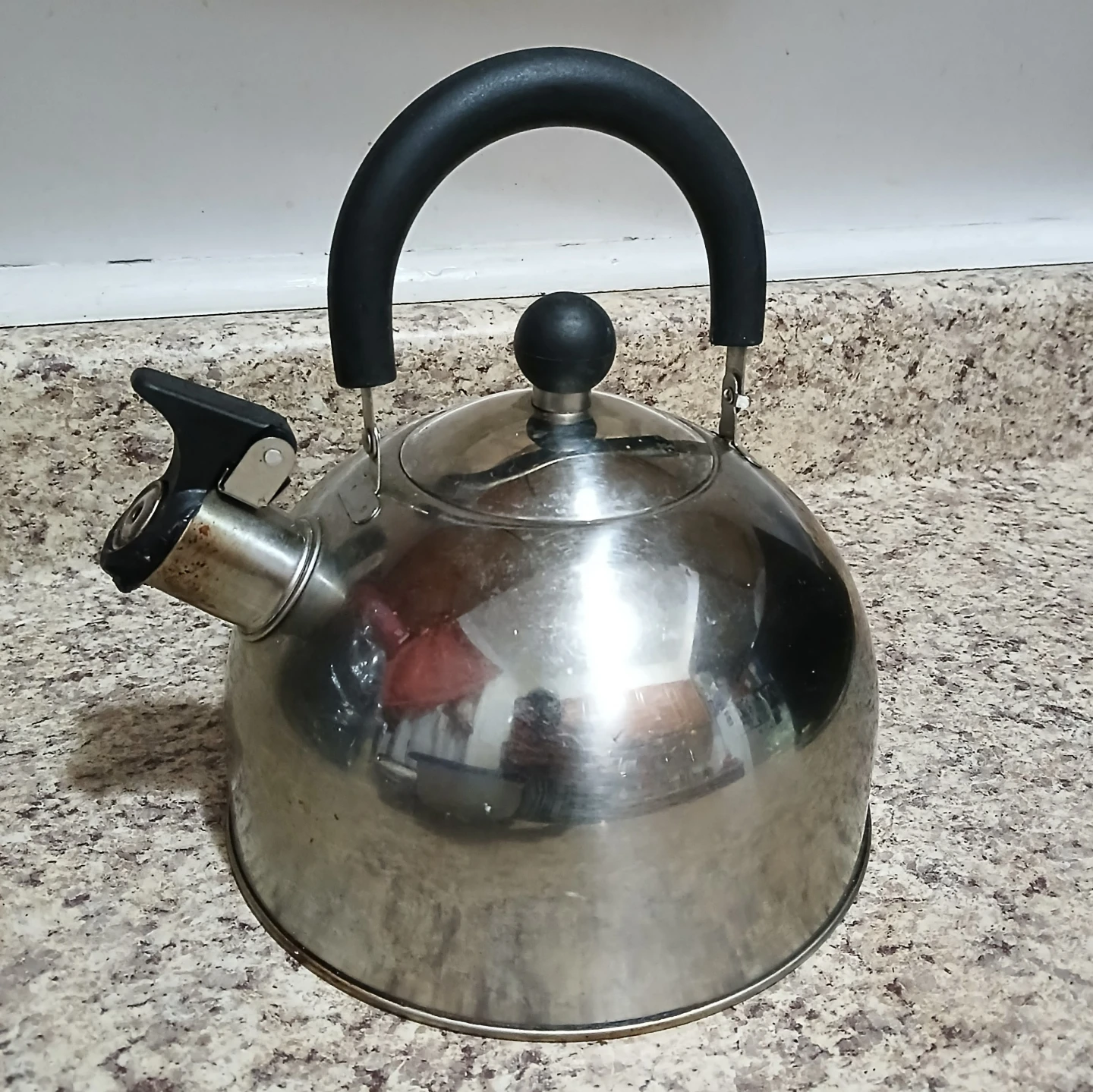 Stainless Steel Whistling Kettle ⚽