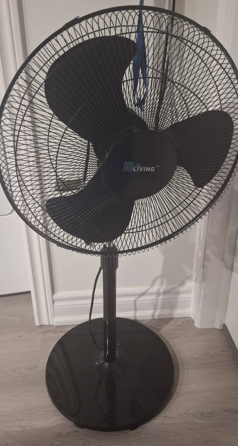 Standing Fan