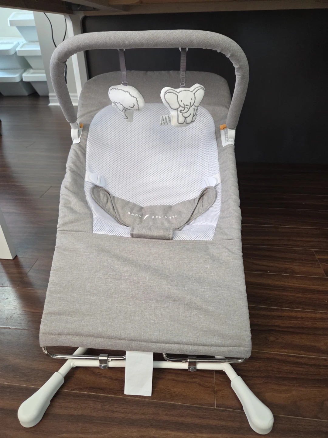 Baby Delight Rocker Bouncer