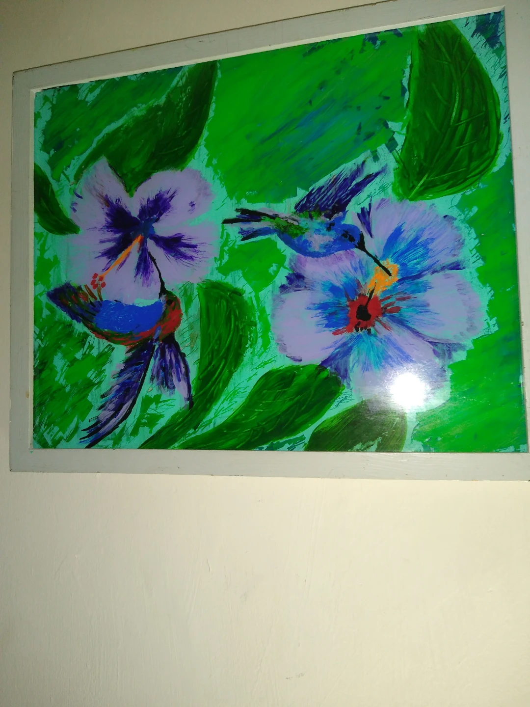 Two hibiscus