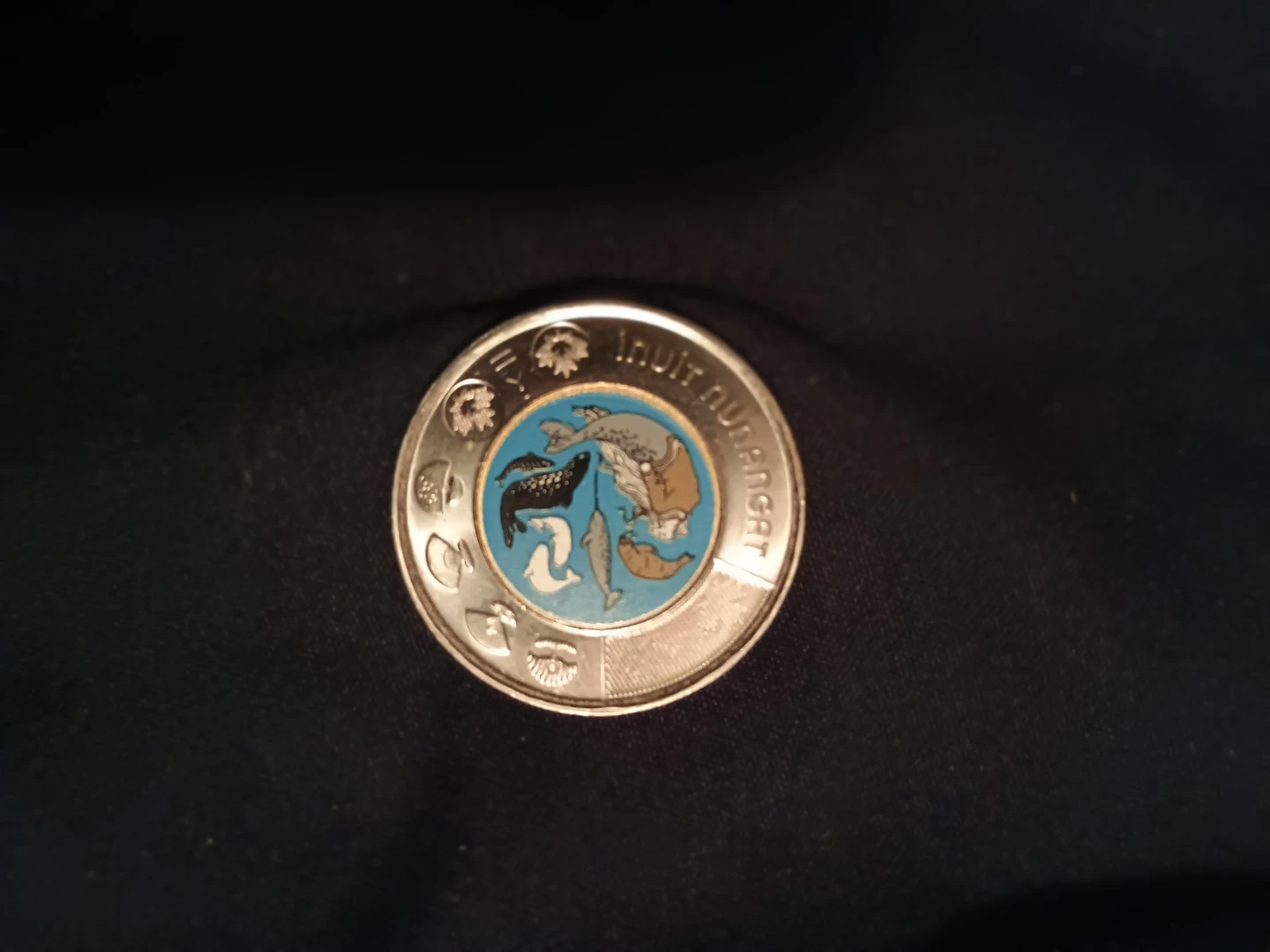 Two Canadian toonie Coins - photo 5