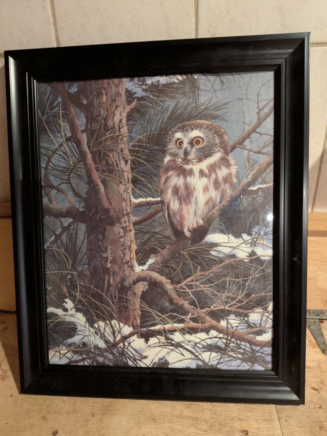 Framed Owl Art by Gibbons 1994