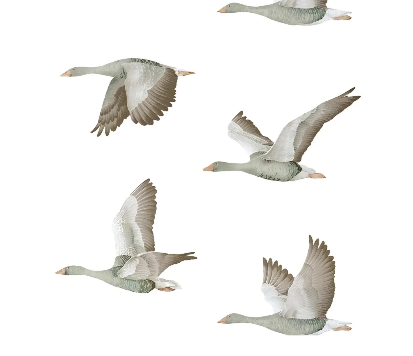 Flying Goose Peel & Stick Vintage Wallpaper 16.9" x 118"