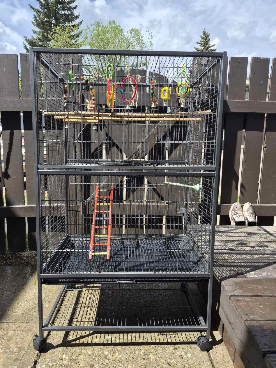 Bird Cage - photo 3