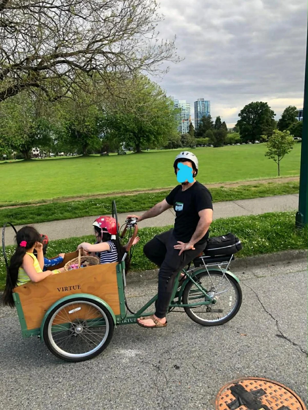 Virtue Cargo Bike