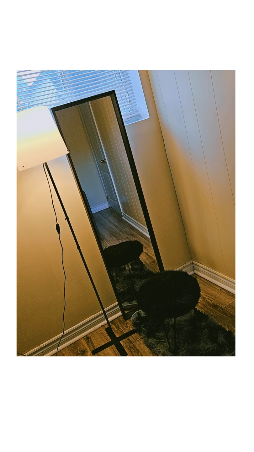 Chair-25, Mirror- 25, Lamp-10, All-50