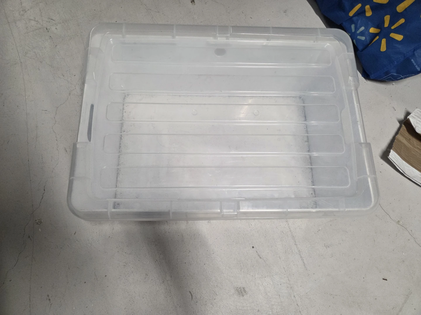 Clear Plastic Storage Bin with Lid - photo 2