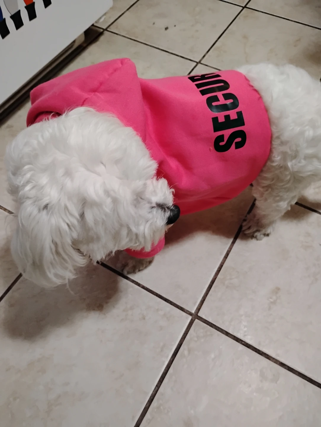 Pink Dog Hoodie "SECURITY" - photo 2