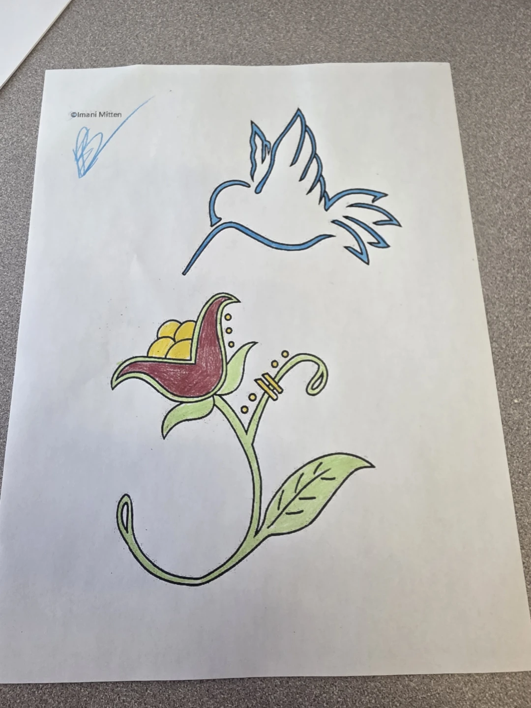 Hummingbird and Flower drawing