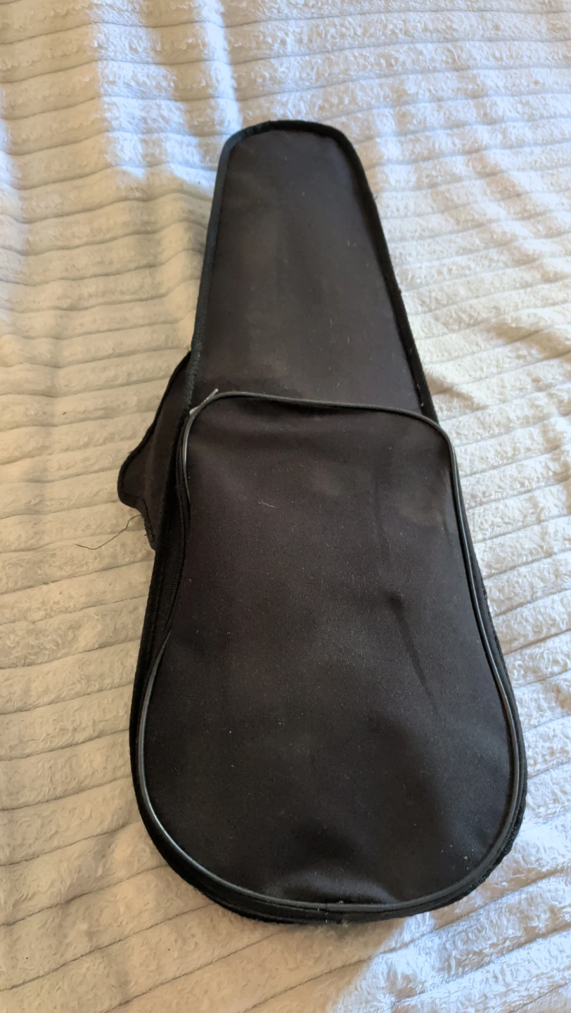 Violin with Case and Extra Strings