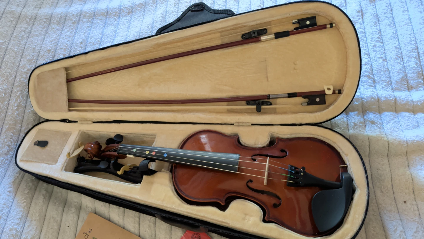 Violin with Case and Extra Strings - photo 2