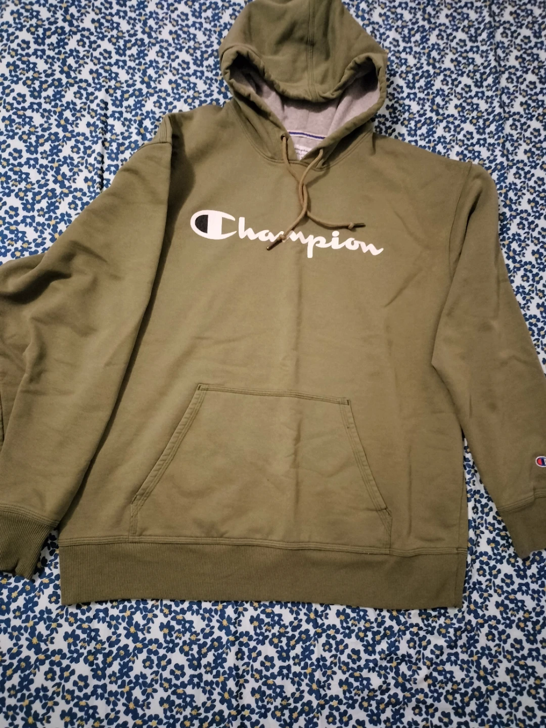 Champion Hoodie Green