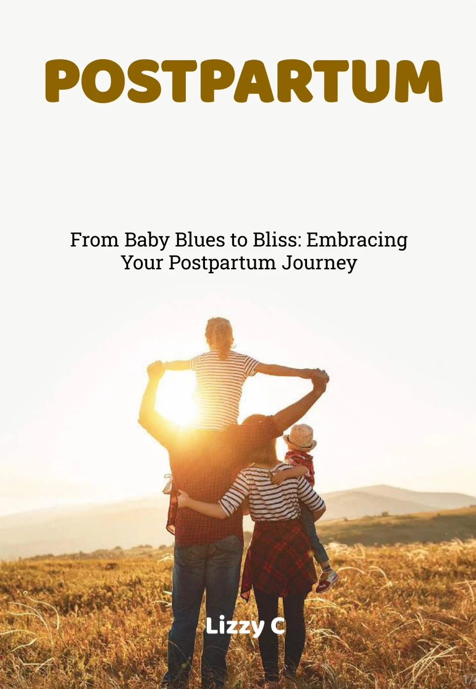 Postpartum parenting book ebook