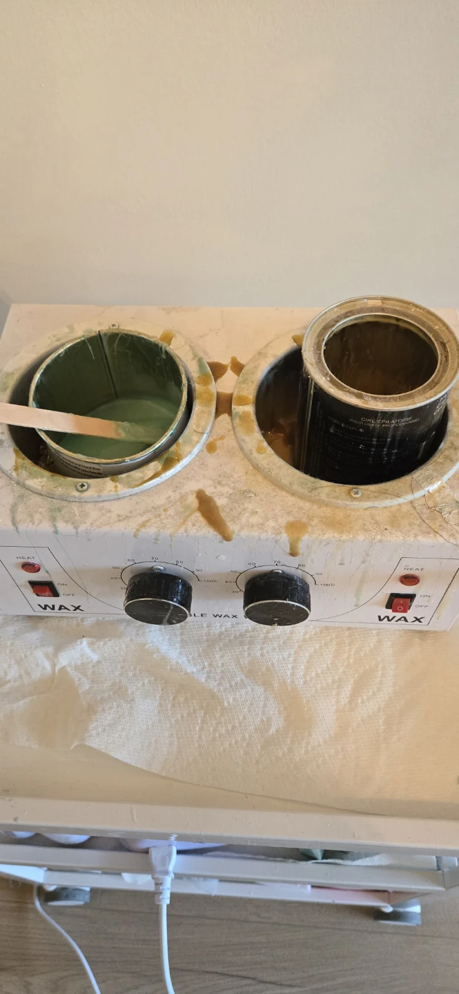Double Wax Warmer Machine - photo 2