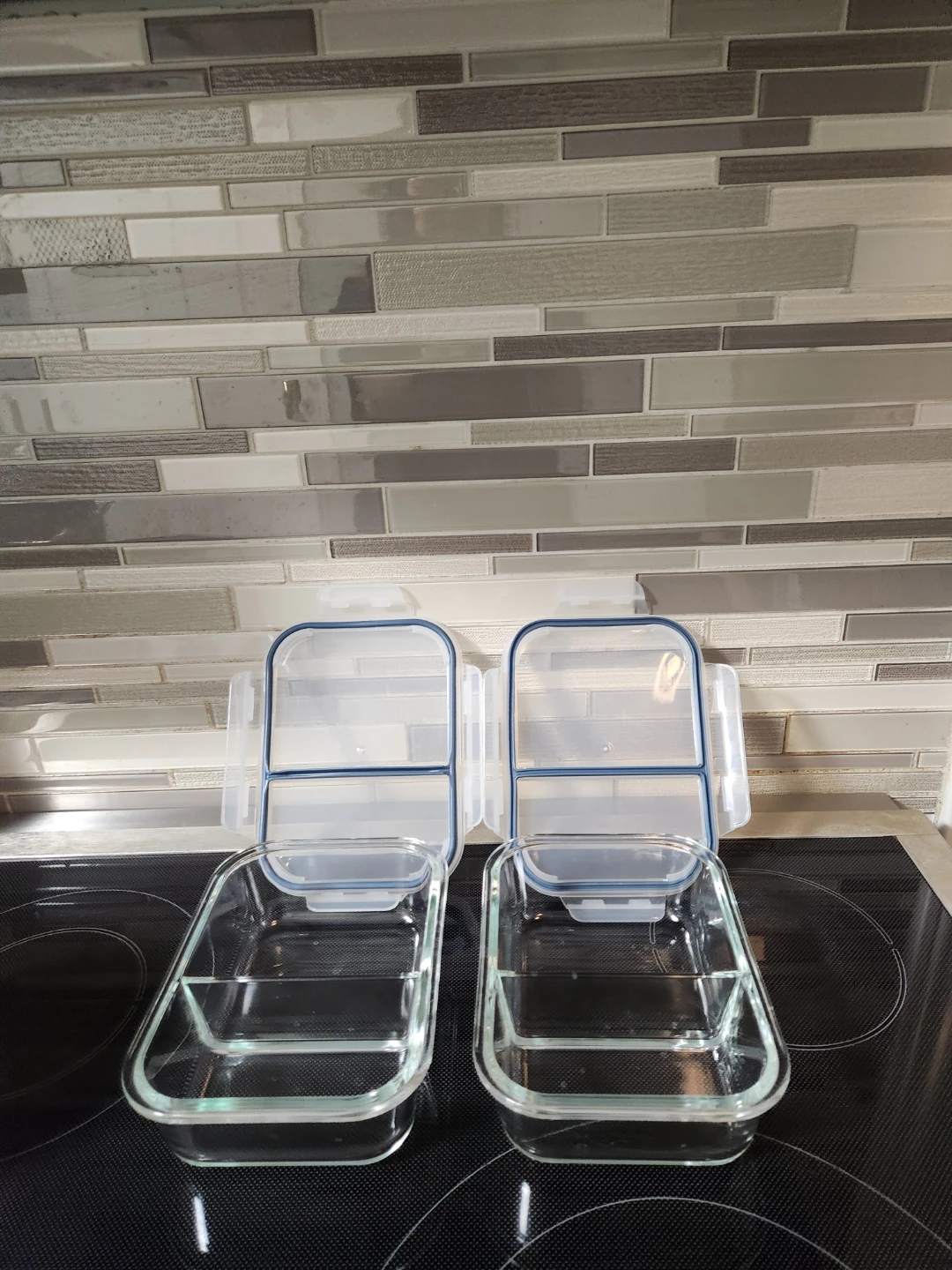 Glass Food Storage Containers with Lids - Set of 2