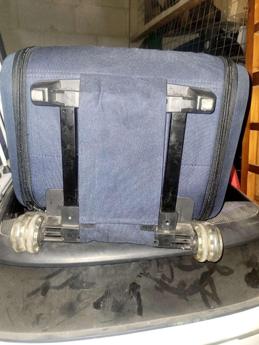 Petmate Rolling Pet Carrier - photo 3