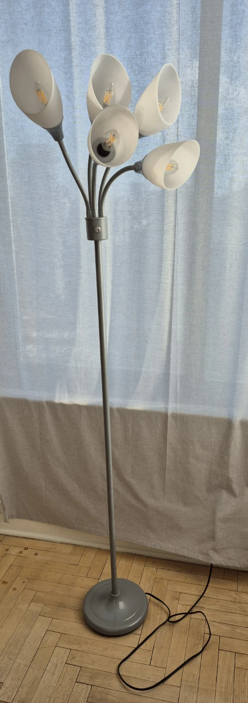 General Success Floor Lamp