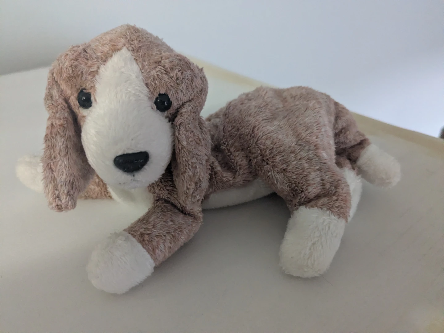 TY Beanie Baby Sniffer