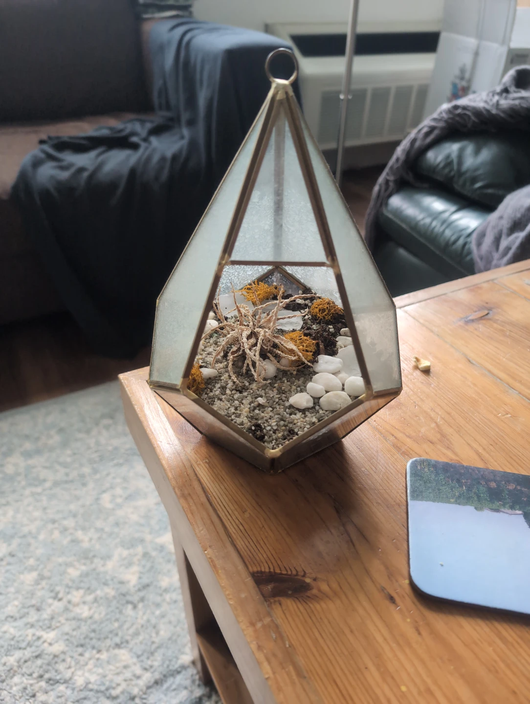 Medium sized terrarium - photo 2