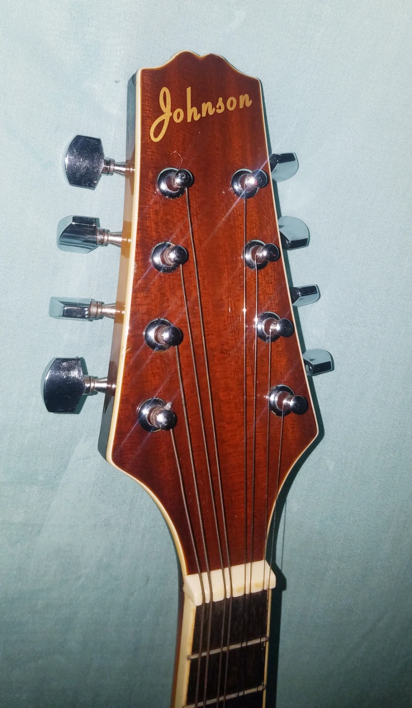 Johnson Acoustic Mandolin Needs Strings and Tailpiece Cover - photo 3