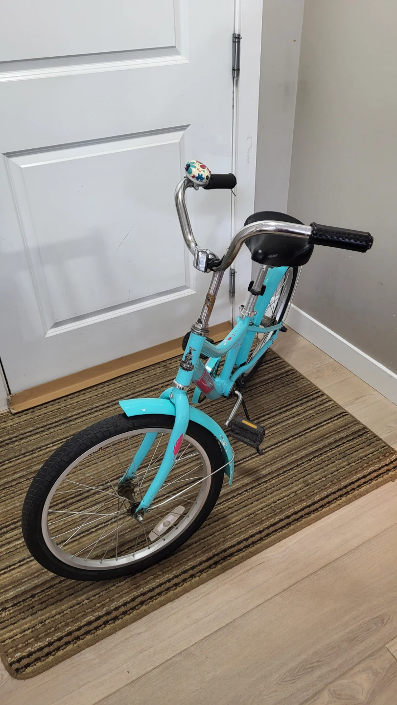 Raleigh Teal Cruiser Bike