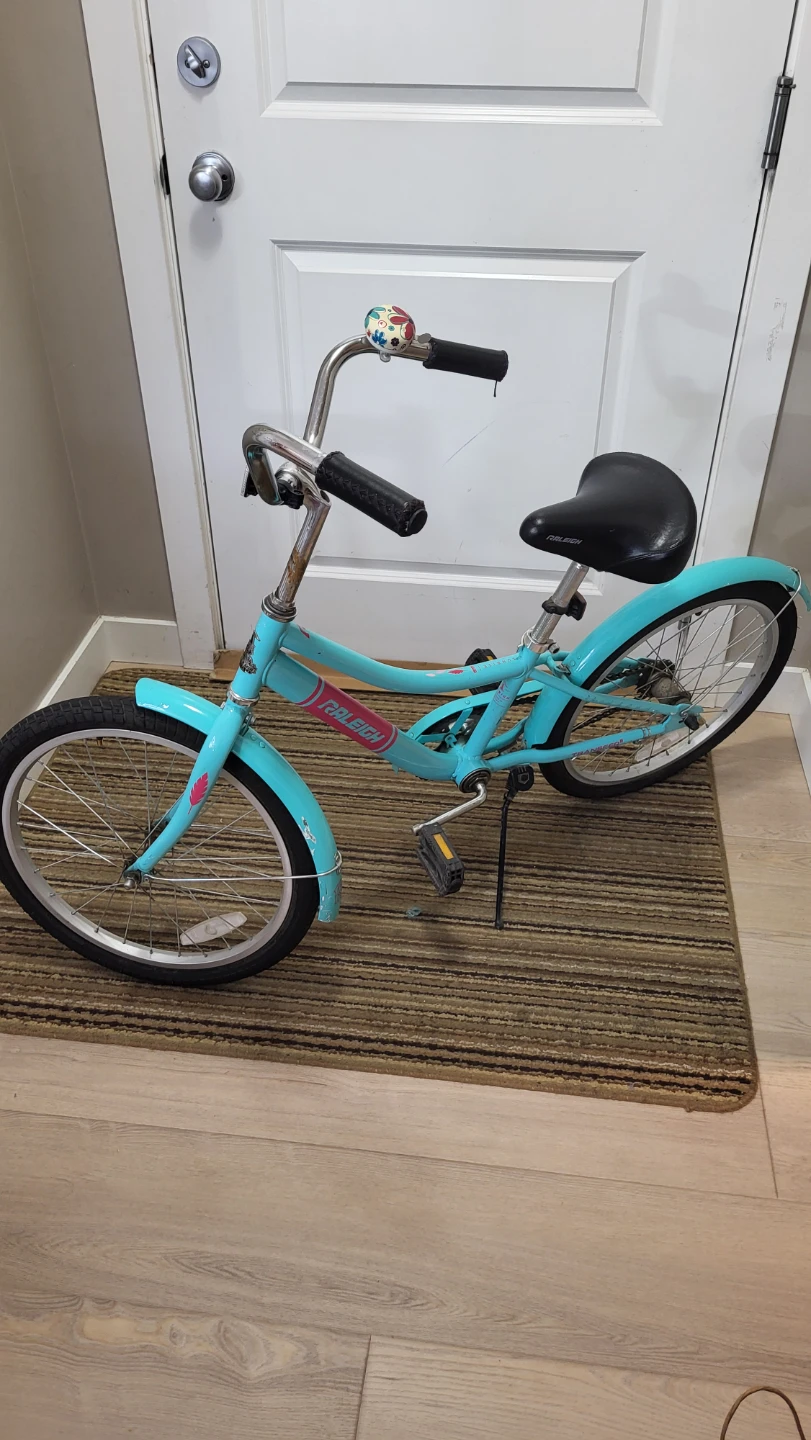 Raleigh Teal Cruiser Bike - photo 2