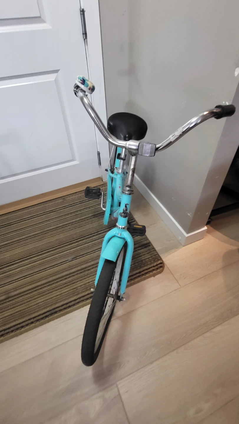 Raleigh Teal Cruiser Bike - photo 4