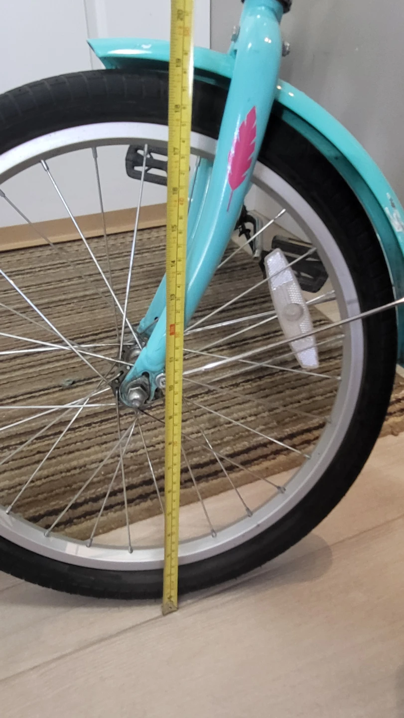 Raleigh Teal Cruiser Bike - photo 5