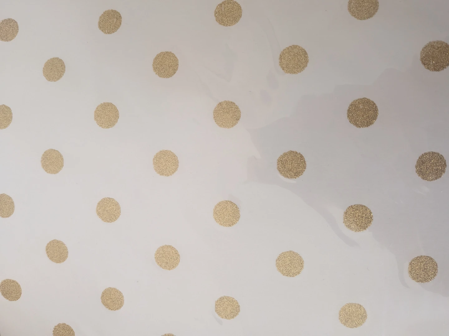 sheet of patterned paper pick up in St Albert - photo 4