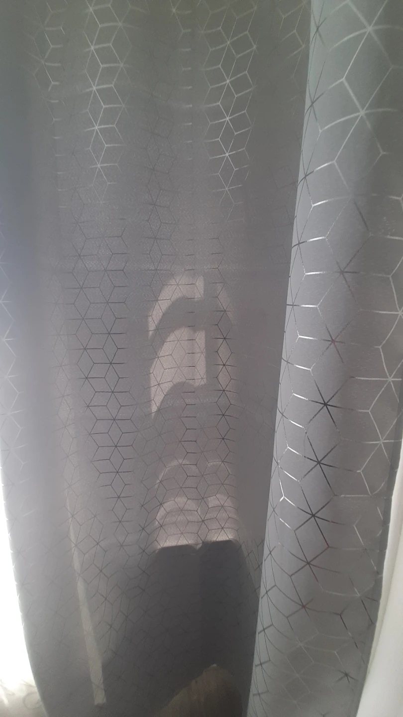 Sheer Curtains with Scroll and Geometric Pattern - photo 2