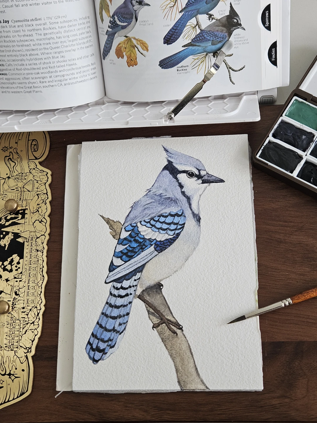 Beginner s watercolor class - photo 2