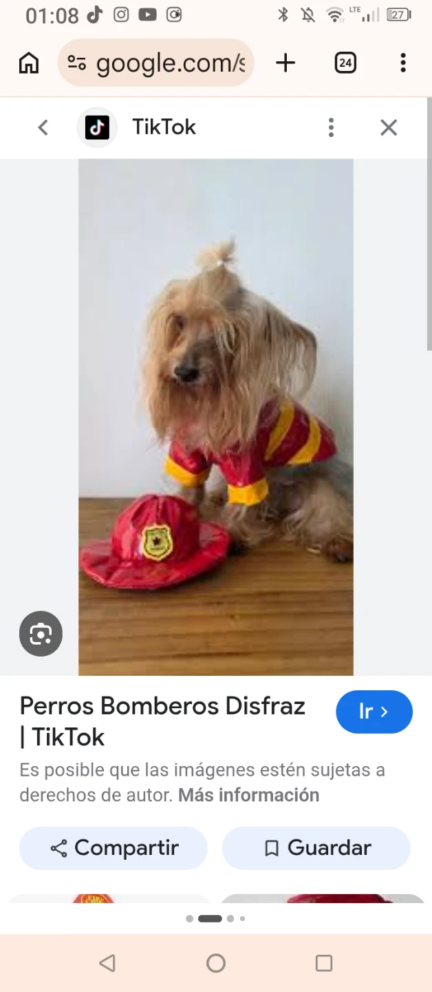 Dog Fire Chief Costume Hat & Cape