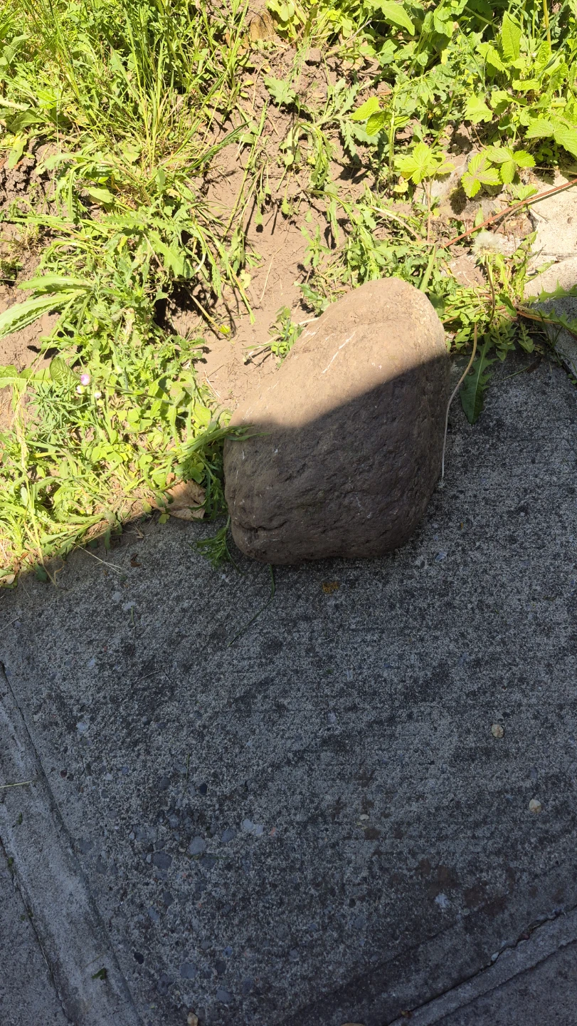 Free decorative rocks - photo 4