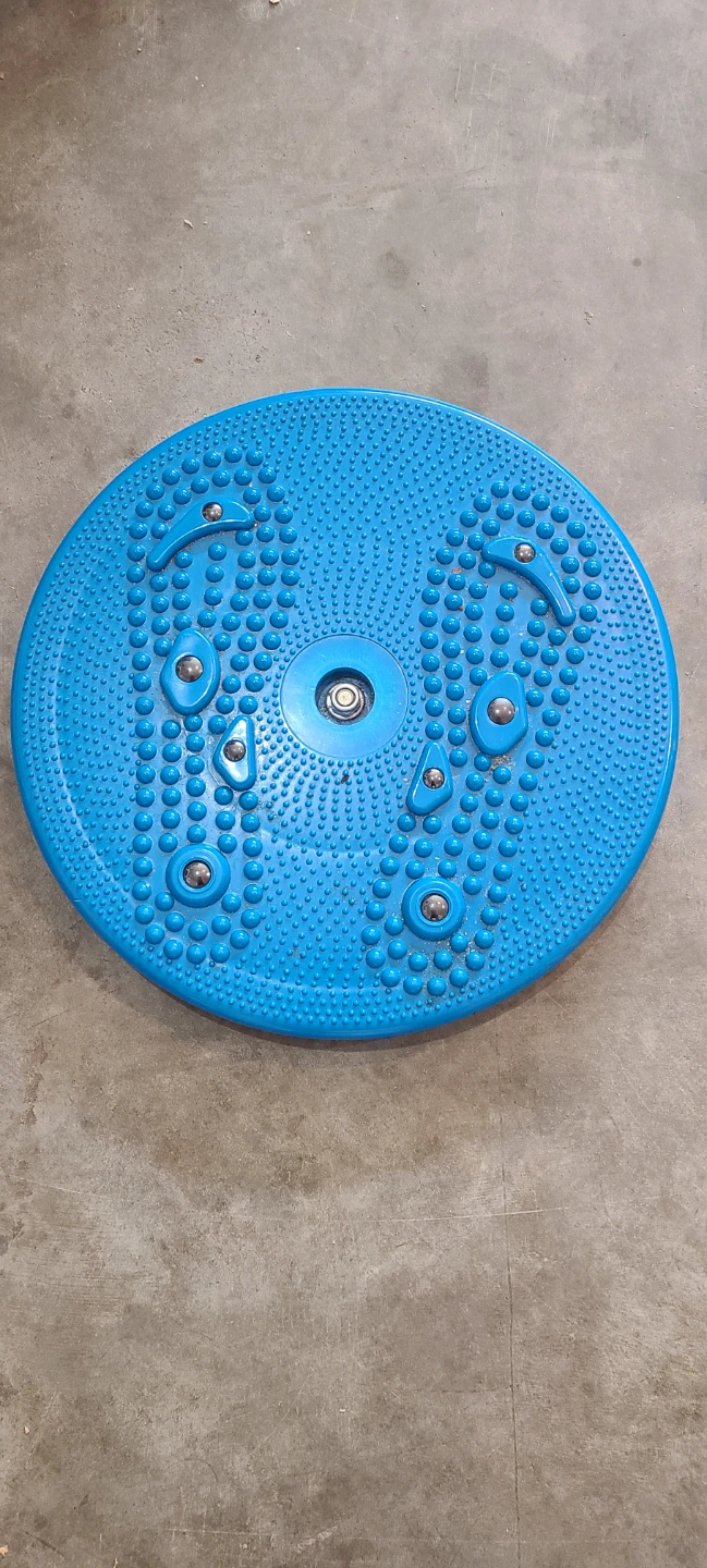 Fitness twisting disks