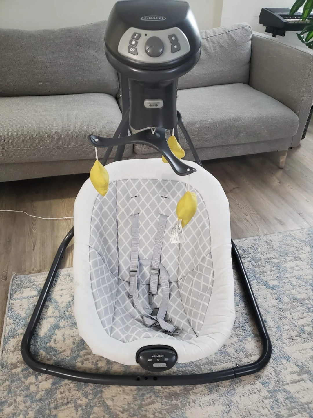 Graco Baby Swing