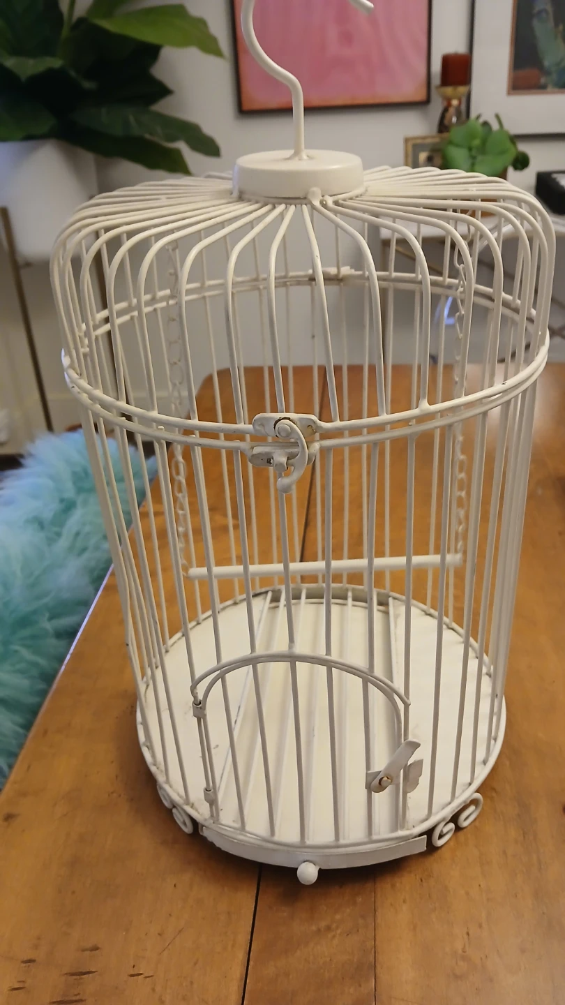 Decorative White Bird Cage