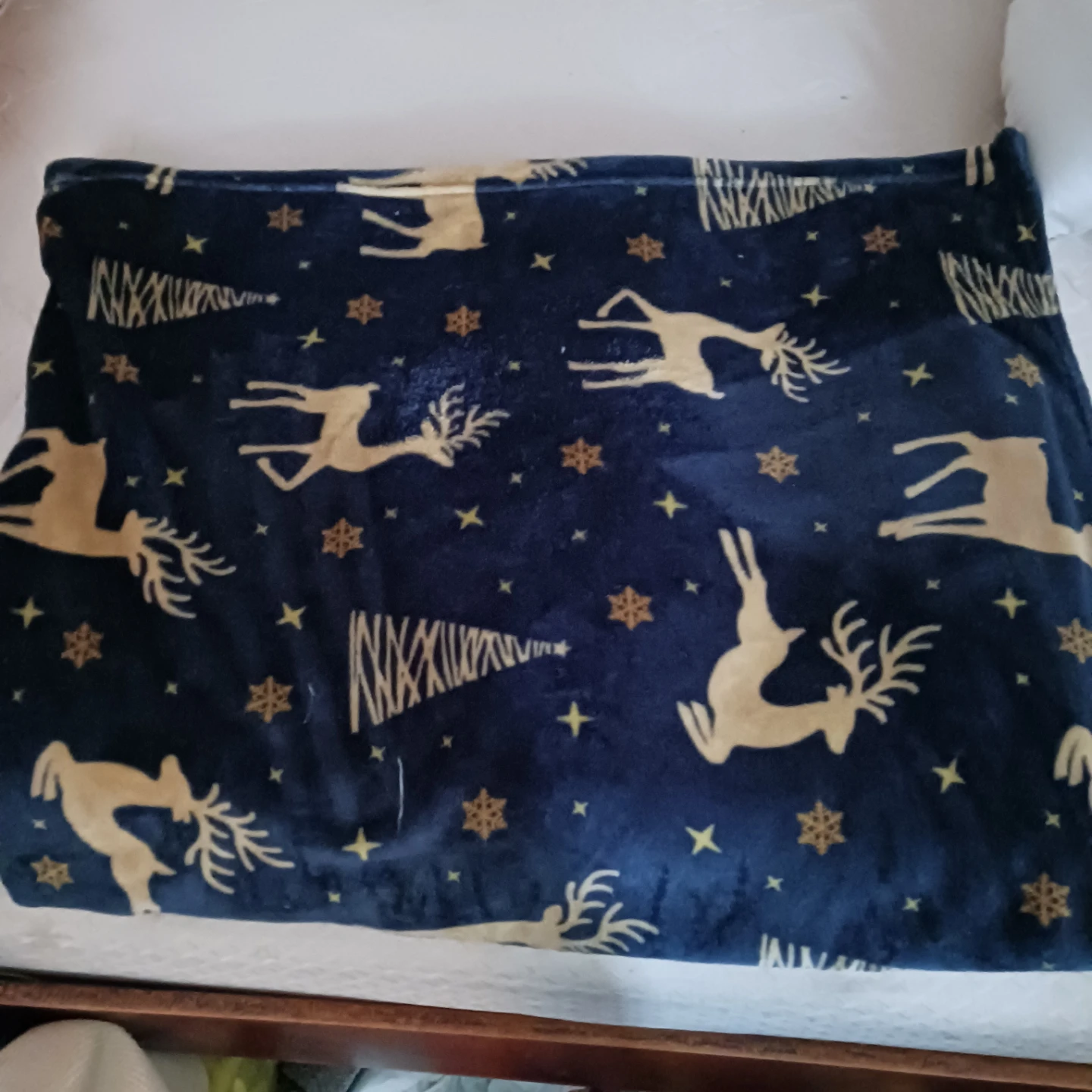 Cozy Holiday Fleece Blanket