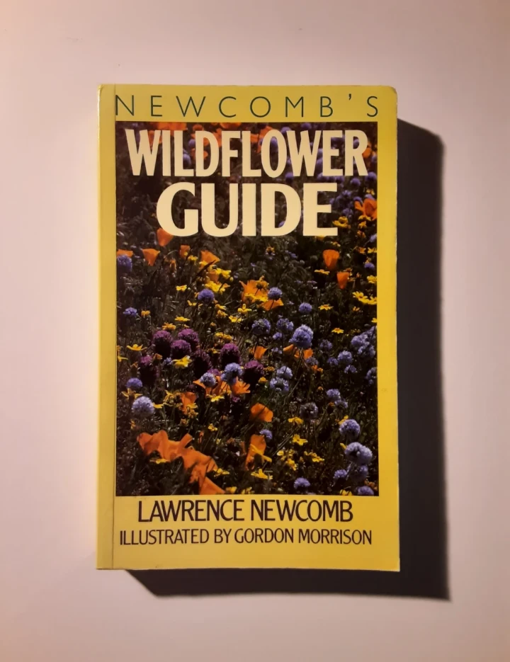 Newcomb's Wildflower Guide (1977)