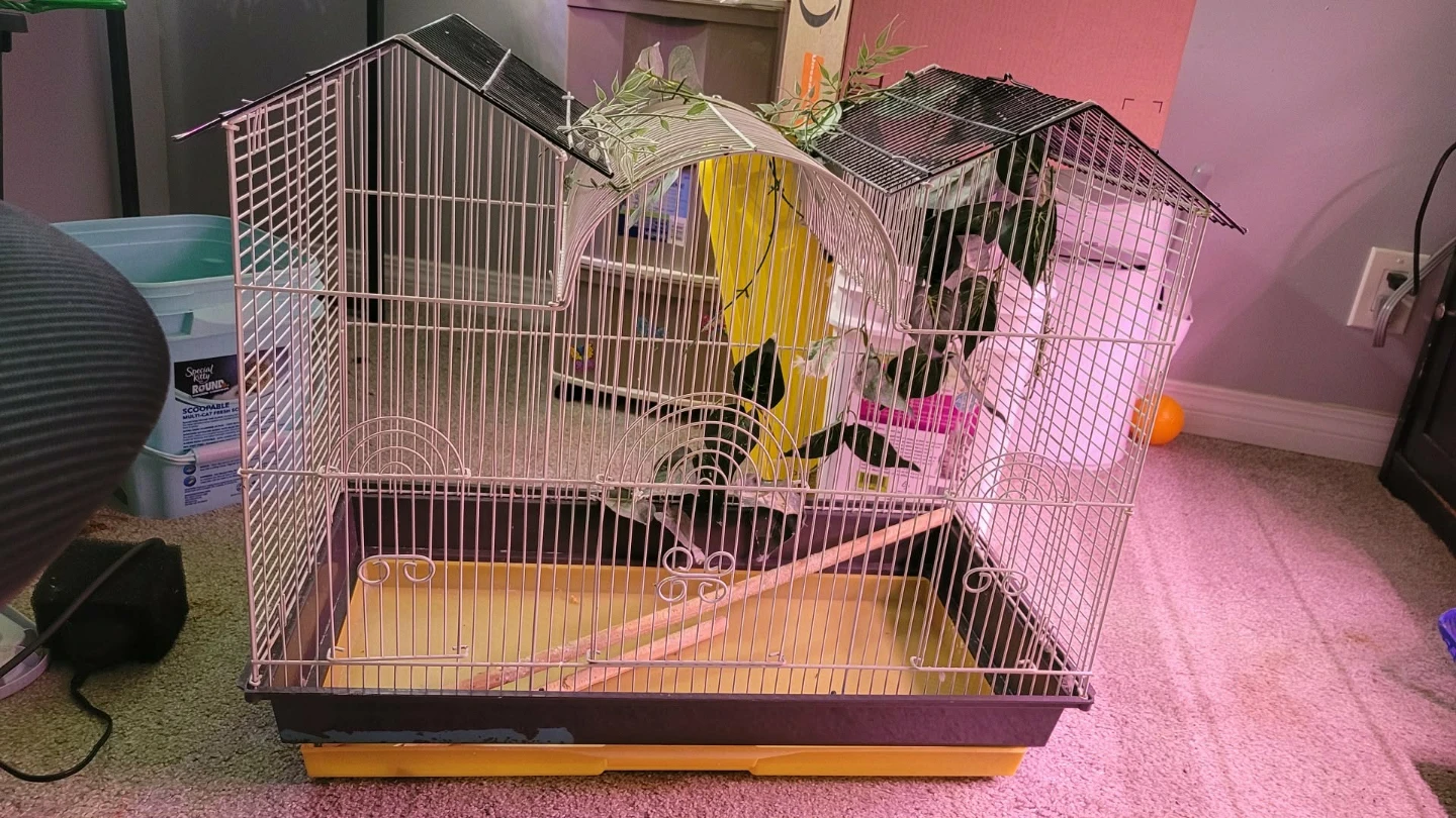 House Shaped Bird Cage - photo 2