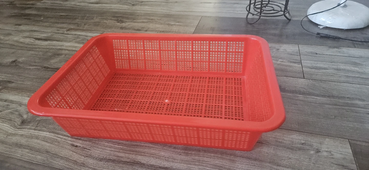 Set of 2 Rectangular Plastic Baskets