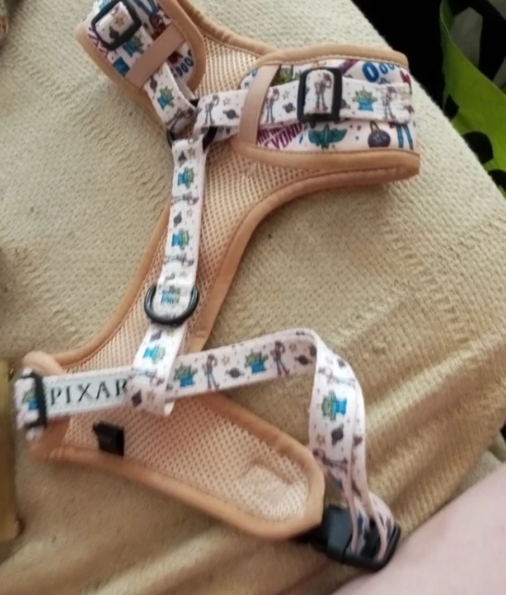 Sassy Woof Toy Story Dog Harness - photo 4